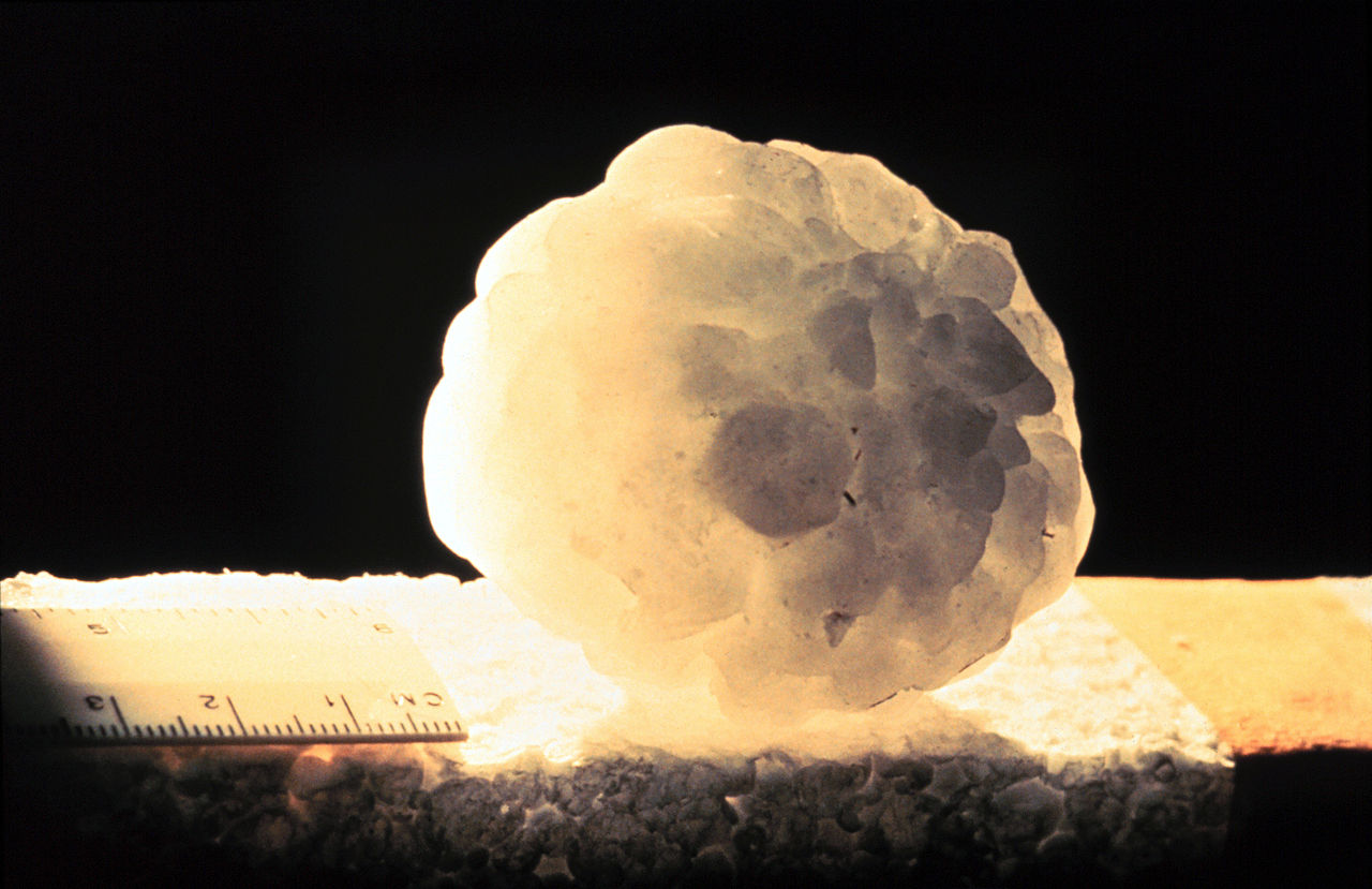 Hail Hit Your Roof? Filing the Insurance Claim Right