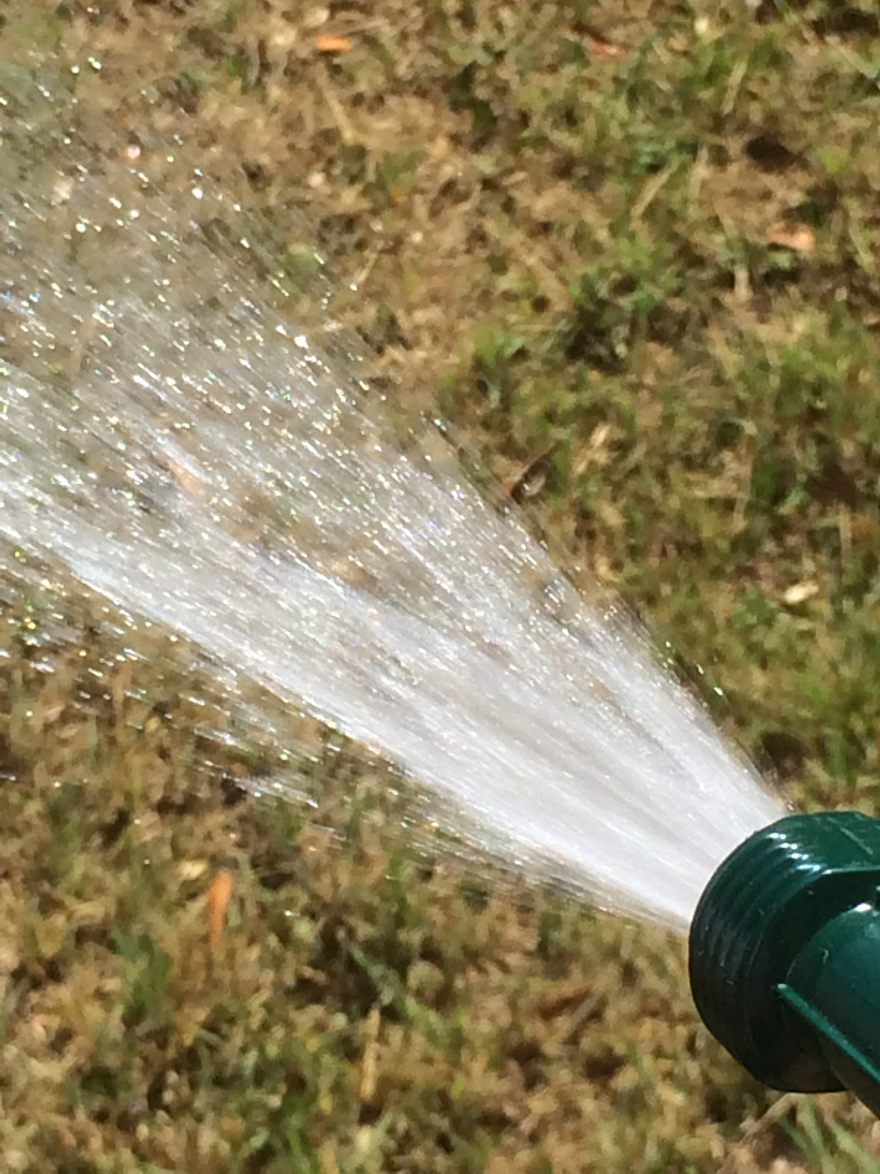 When You Can Water the Lawn in Dallas and Fort Worth