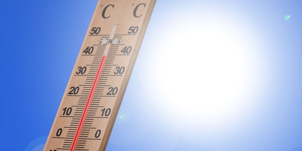 Heat Exhaustion or Heat Stroke? The Signs That Decide